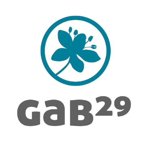 Gab 29